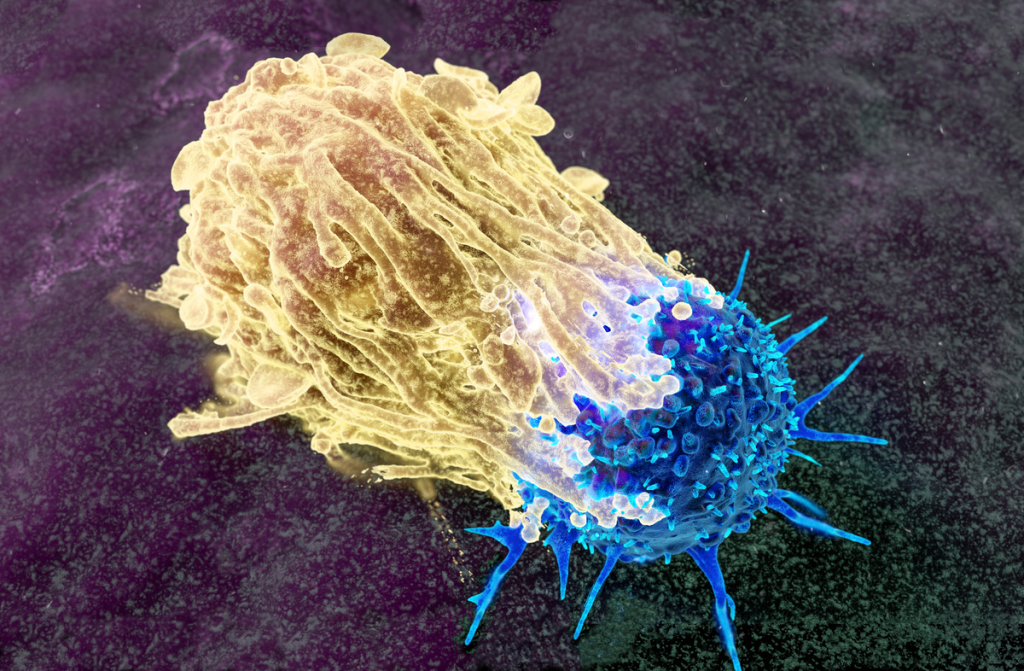 W jaki sposób detoksykacja organizmu, regeneracja komórkowa oraz naturalne procesy naprawcze wpływają na zdrowie metaboliczne, odporność i profilaktykę chorób przewlekłych. Materiał wizualny podkreśla znaczenie zdrowego odżywiania, terapii naturalnych oraz wspomagania organizmu w uruchamianiu autofagii i utrzymaniu równowagi organizmu.